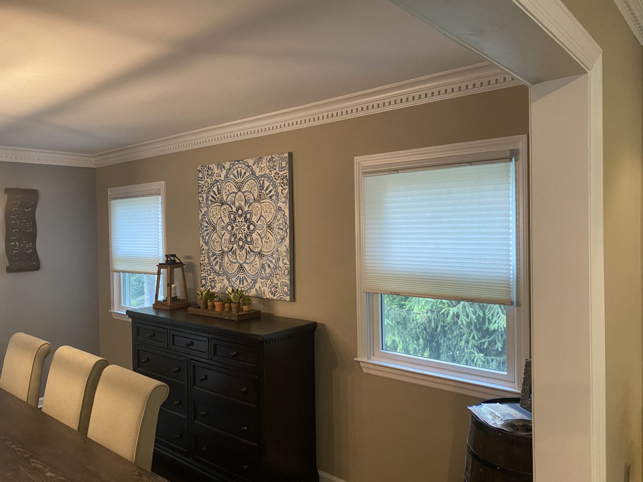 Horizon Window Shades Best Blinds of Westchester